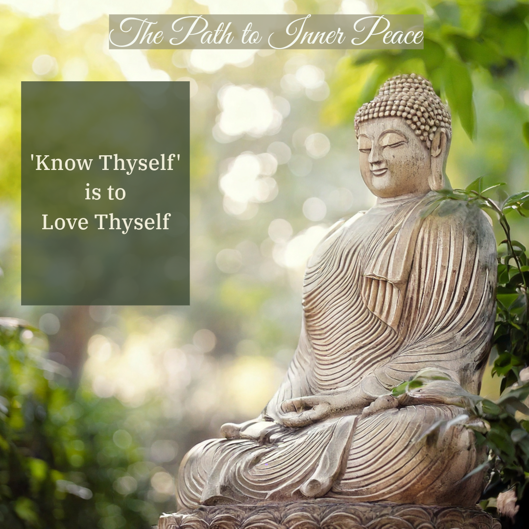 *NEW* IDARES THAT INSPIRE CUPS