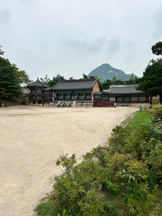Travel Warms My Soul - A Journey to Seoul, Korea