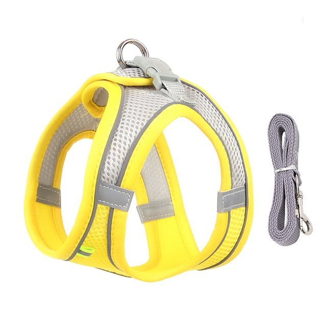 Harness Leash Set for Dogs