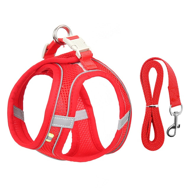 Harness Leash Set for Dogs