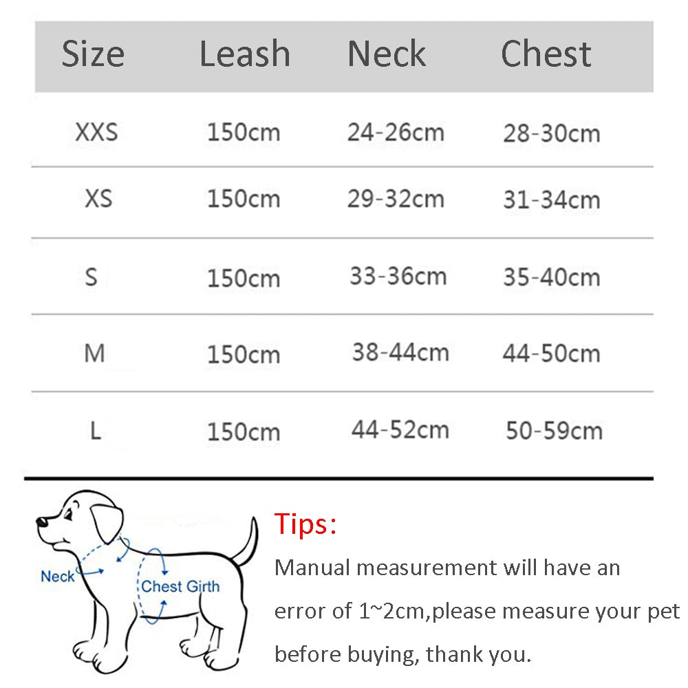 Harness Leash Set for Dogs